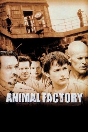Animal Factory (2000) Hindi Dual Audio 480p BluRay 300MB