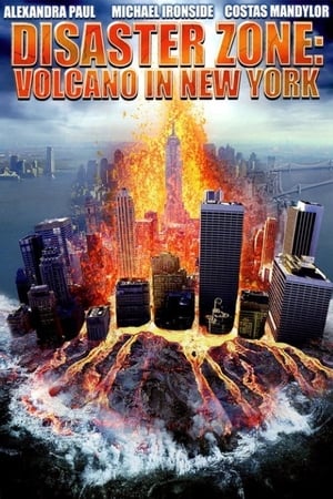 Disaster Zone Volcano in New York 2006 Hindi Dual Audio 720p HDRip [860MB]