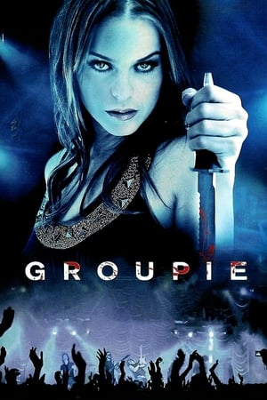 Groupie (2010) Hindi Dual Audio 720p BluRay [1.1GB]