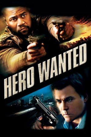 Hero Wanted 2008 Hindi Dual Audio 480p BluRay 330MB