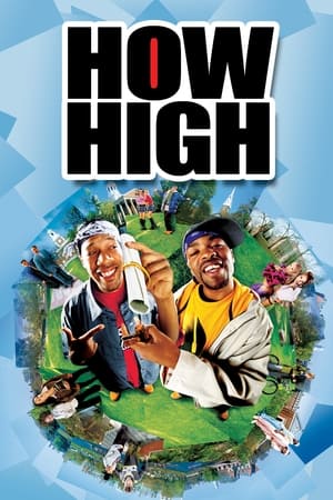 How High (2001) Hindi Dual Audio 480p WebRip 300MB