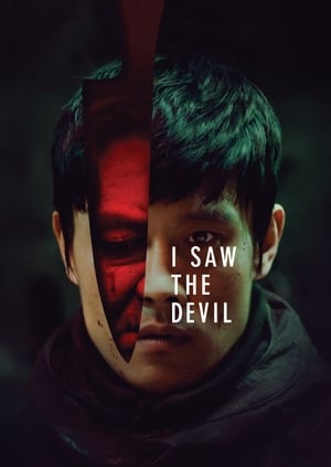 I Saw the Devil 2010 Hindi Dual Audio HDRip 720p – 480p