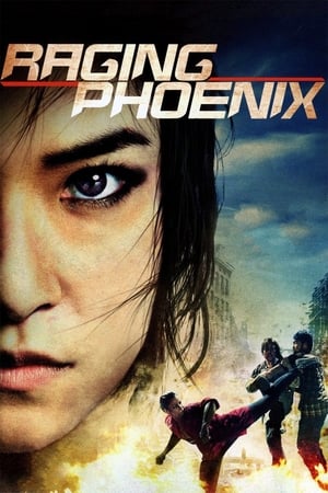 Raging Phoenix (2009) Hindi Dual Audio 480p HDRip 350MB