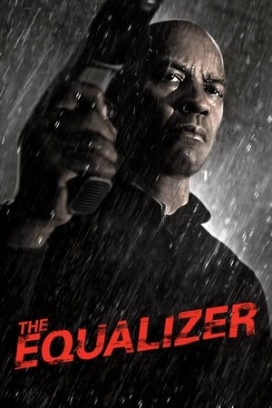 The Equalizer (2014) Hindi Dual Audio BluRay 720p – 480p