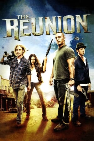 The Reunion (2011) Hindi Dual Audio 720p HDRip [900MB]