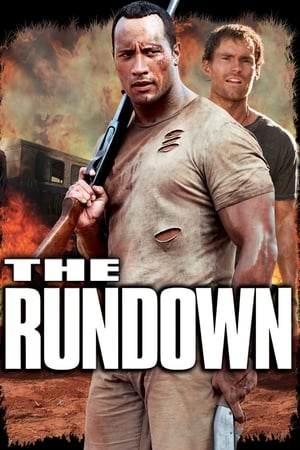 The Rundown (2003) Hindi Dual Audio 480p BluRay 330MB