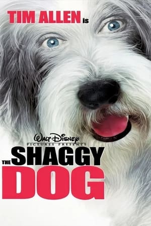 The Shaggy Dog (2006) Hindi Dual Audio 720p BluRay [950MB]