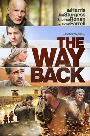 The Way Back (2010) Hindi Dual Audio 720p BluRay [950MB] ESubs