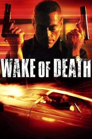 Wake of Death 2004 Hindi Dual Audio 720p BluRay [1GB]